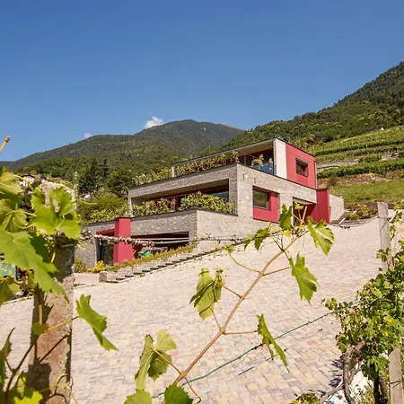 Nebbiolo Wine Bed & Breakfast Castione Andevenno
