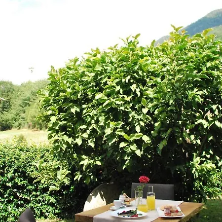 Nebbiolo Wine Bed & Breakfast