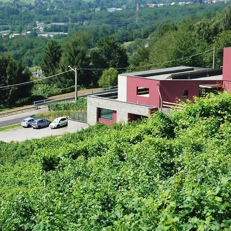 Nebbiolo Wine Castione Andevenno
