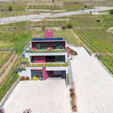 Nebbiolo Wine - Winery & Vineyard Valtellina 3* Castione Andevenno